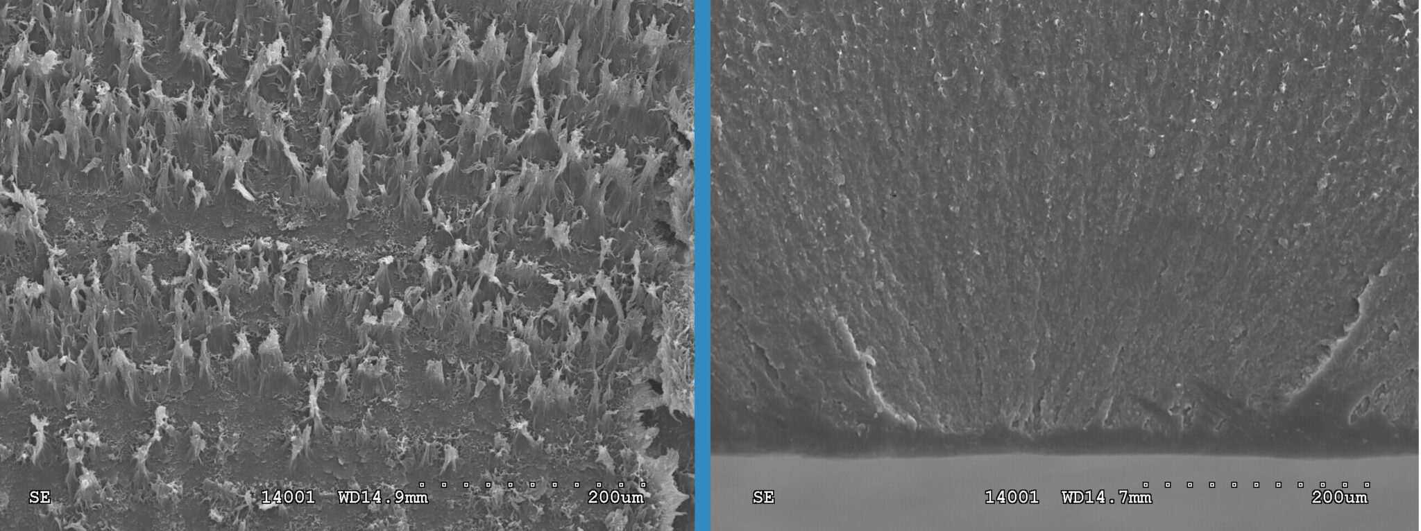 Ductile to Brittle Transition of Plastic Materials