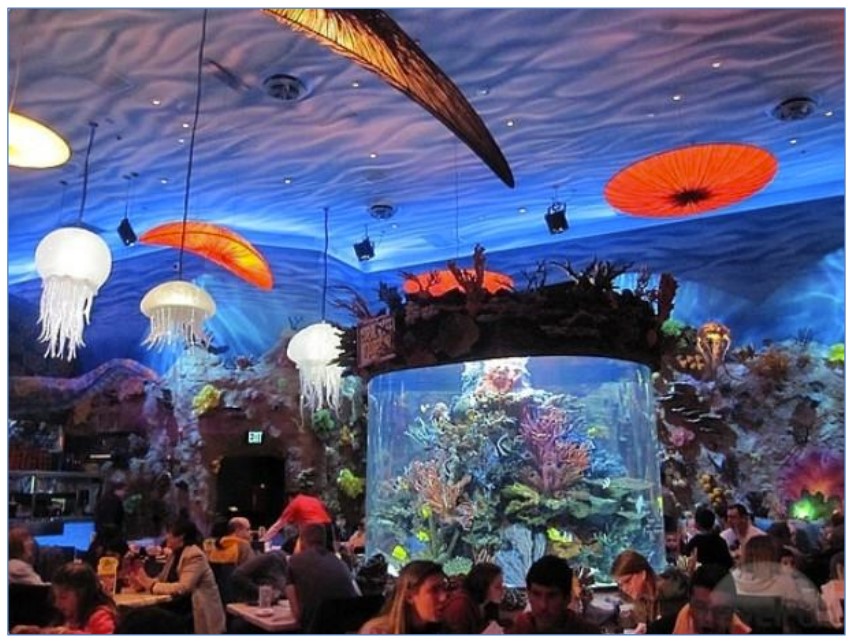 Investigating Acrylic Aquarium Failures The Madison Group