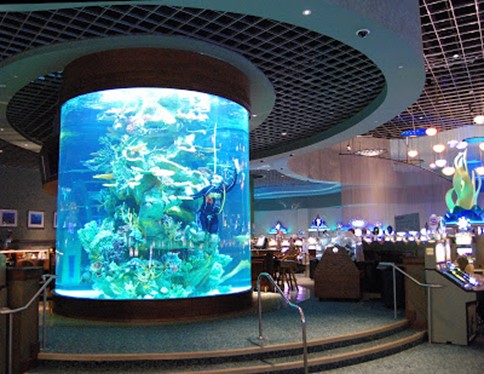 Gulfstream casino aquarium