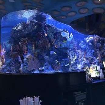 T-Rex aquarium