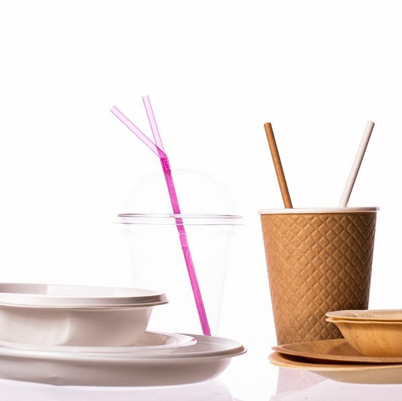 Are Biodegradable Plastics Really Sustainable?