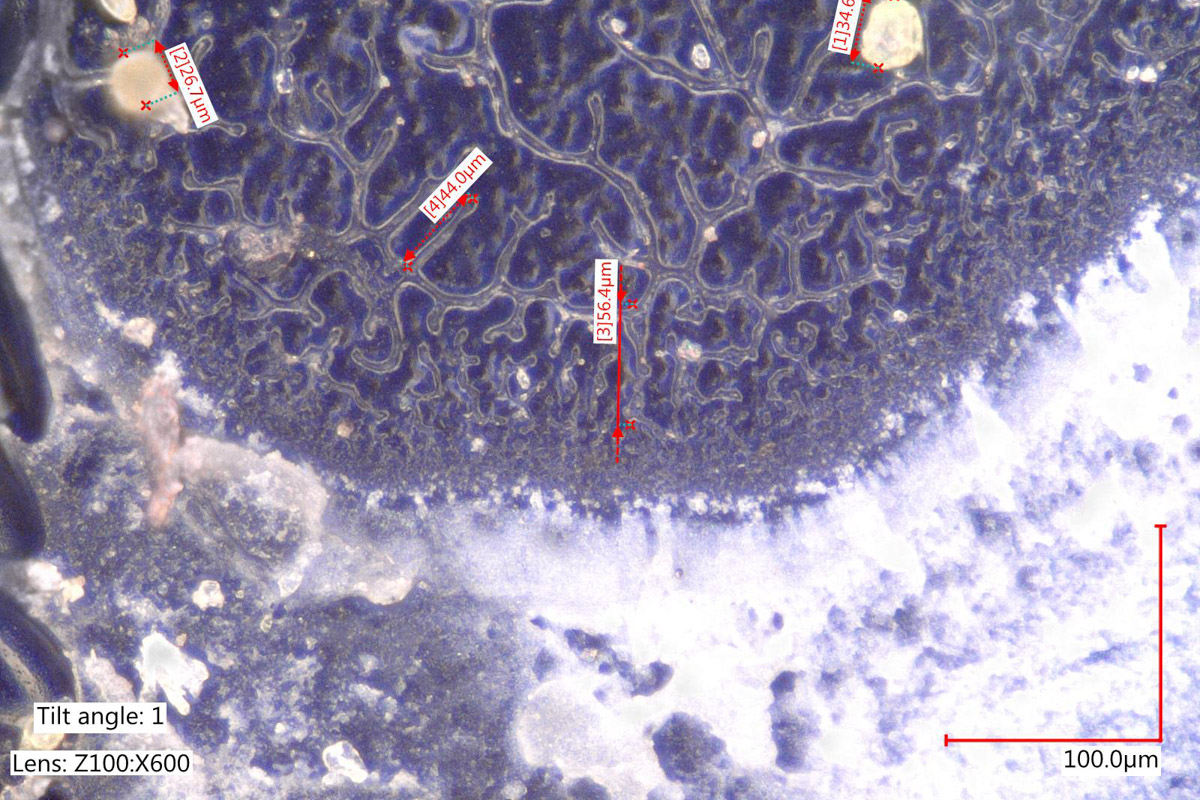 Failure Analysis Plastic Part Under Microscope
