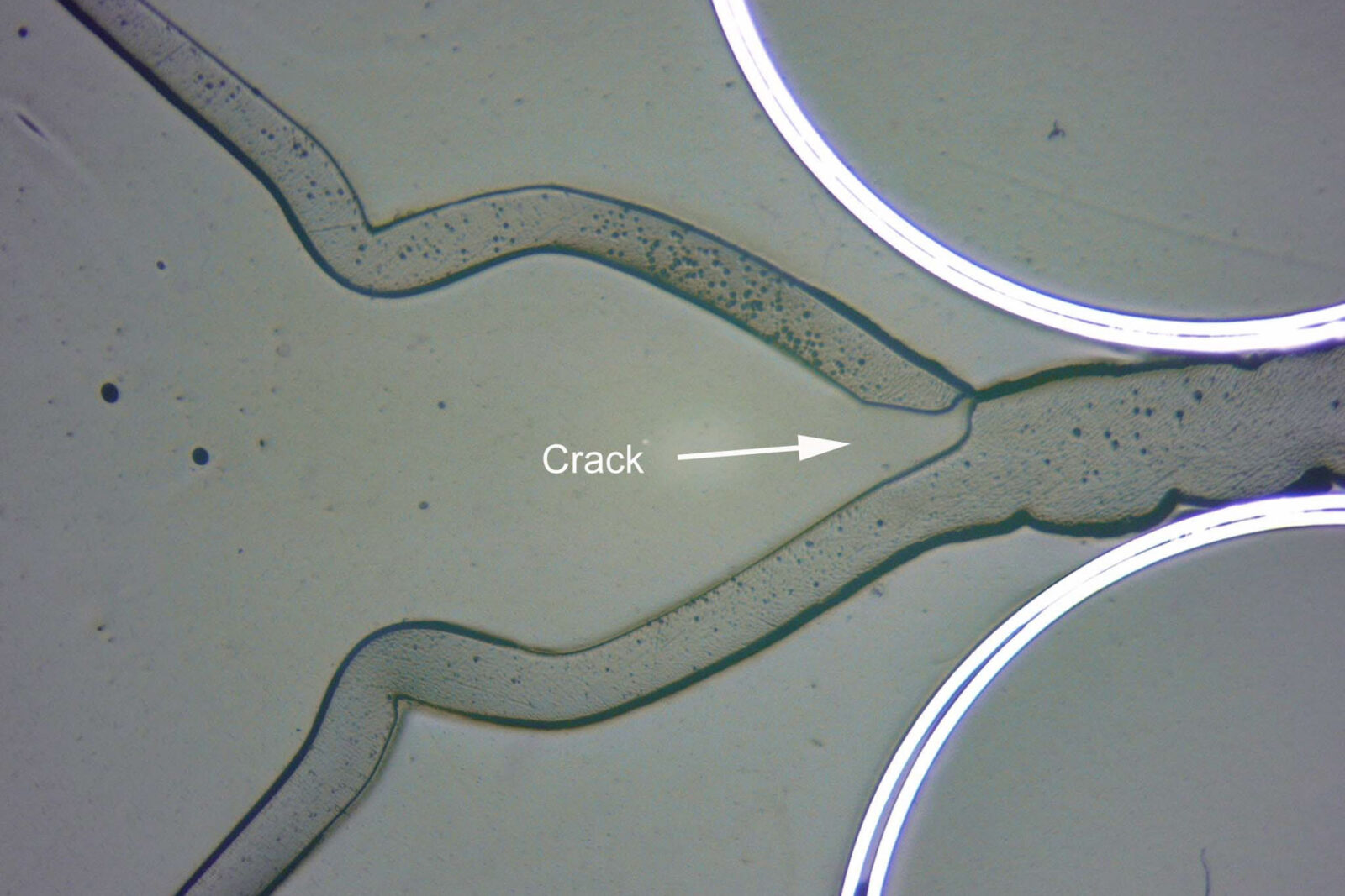 Liquid Sample Plastic Vial Crack