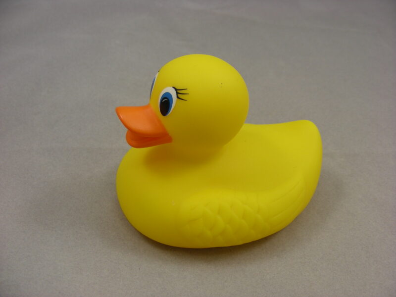 PVC Duck